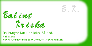 balint kriska business card